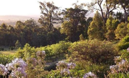 Wallaby Ridge Retreat