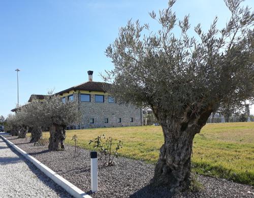 Agriturismo San Gallo