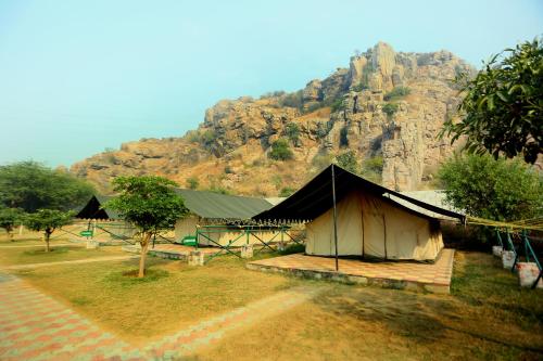 Camp Wild Dhauj at Aravali Valley