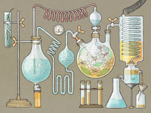 Praktik Èssens - image 2