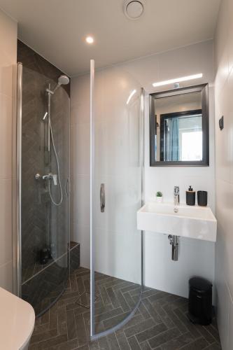City Terrace Apartment Avangard - Large private roof terrace, Tallin (foto 7)