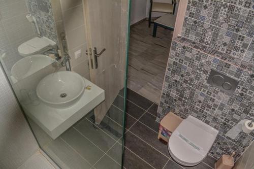  Musses in Koukounaries