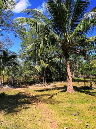 Walkerz Inn, Bohol