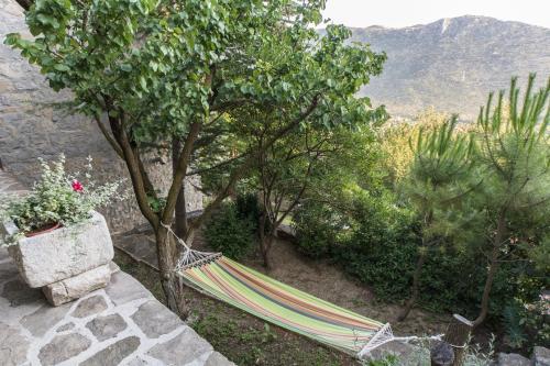 Villa Privor near Split, private pool