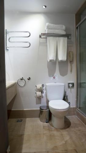 Capsis Bristol Boutique Hotel - image 12