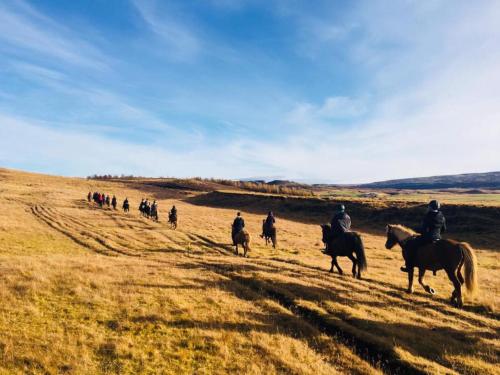 Skalinn between Gullfoss and Geysir - Myrkholt Farm