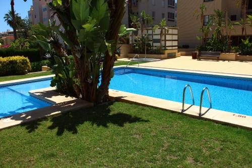  Albir Calle Pau Casals, Pension in Albir