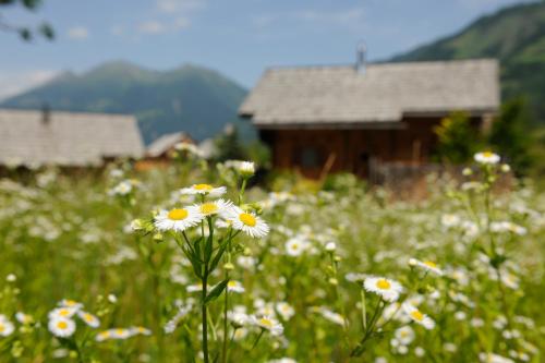 Landgut Moserhof