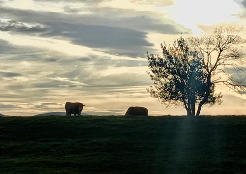 Ulle Gorri Rural House - Casa Rural - image 4