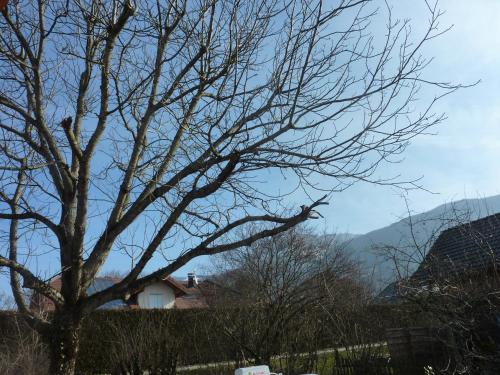 Studio 30 M2 jardinet 10minutes Annecy photo 19