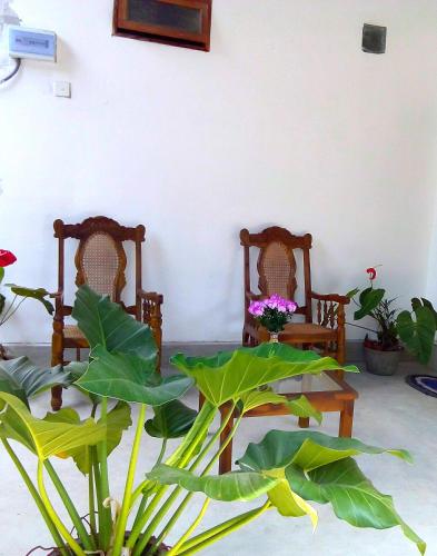 T & U Homestay Negombo