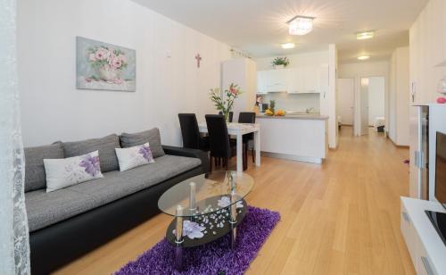 APARTMENTS ARIJANA free private garage and sea view, Split