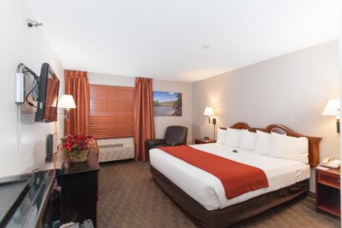 1 king bed