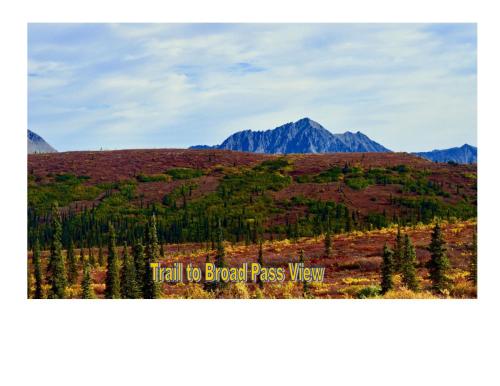 Tuvākā izklaides vieta, Cantwell Cabins in Cantwell (AK)