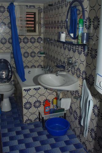  DADO in Brist
