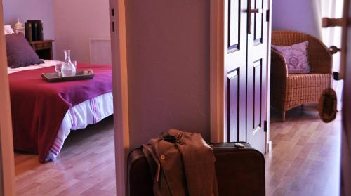 la Ferme aux abeilles - image 3