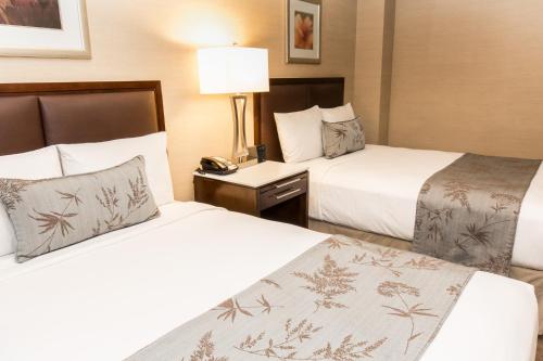 The Belvedere Hotel Room Type - Room, 2 Double Beds, Mobility Accessible