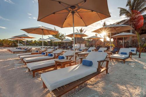 Mystique Holbox by Royalton, A Tribute Portfolio Resort photo 4