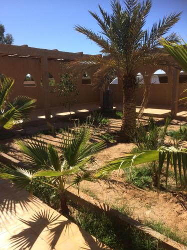 Les Portes Du Desert in Ksar Tanamouste