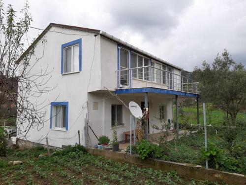  Ali Summer House, Ferienwohnung in Muğla