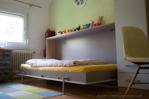 Entire House in Schwarzwald with mountain view, private Gym,Sauna and Garden