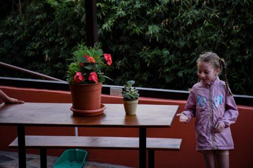 Instalaciones, Cabinas Eddy B&B in Monteverde