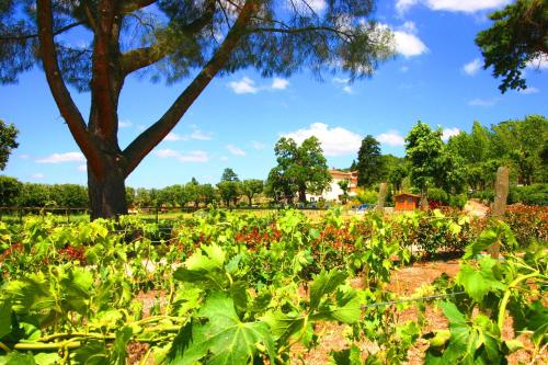 Cortona Resort & Spa - image 2