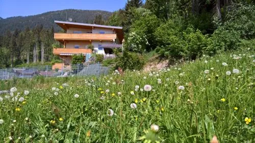 Haus Gigl in Bruck am Ziller, Österreich