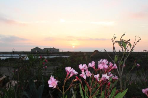 Isola Lunga Salt Resort