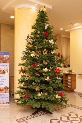 Hotel Bila Ruze in Pisek