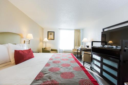 Comfort King Room image 8