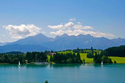 Hotel Kaufmann - image 7