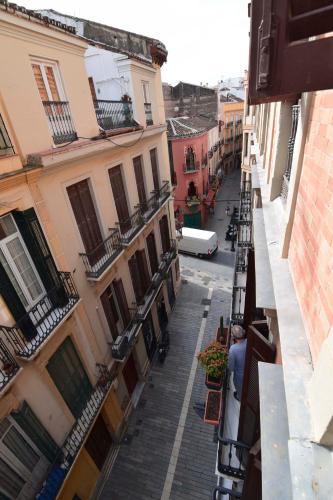 Letmalaga Cremades Center - image 4