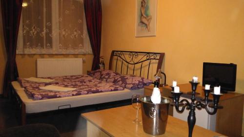 Penzion Střela Krucemburk - image 13