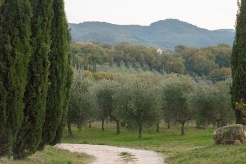 La Coccinella