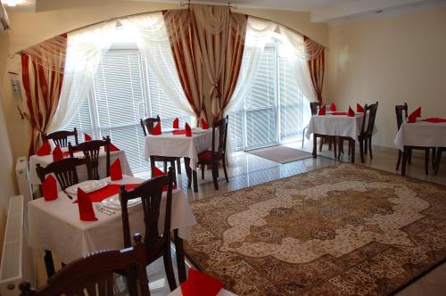 Vila Muntenia Hotel - image 14