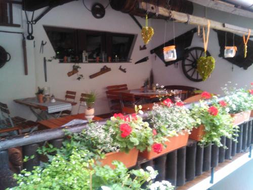 Zur Mühle - image 14