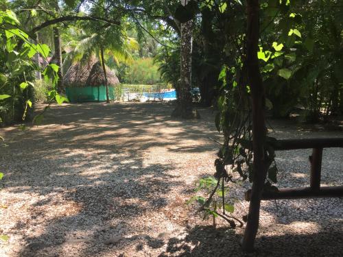 Mal Pais Surf Camp