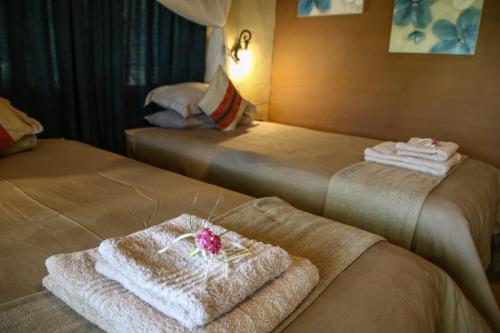 Instalaciones, Island Safari Lodge in Maun
