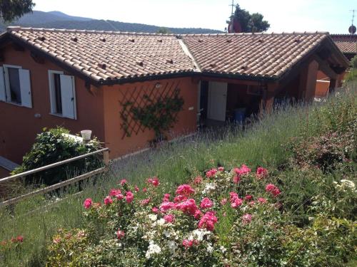  Casa Gelsomino, Pension in Castiglione della Pescaia