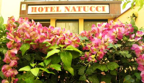 Albergo Natucci