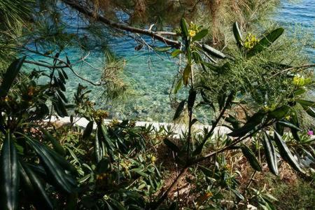  apartman starigrad in Starigrad