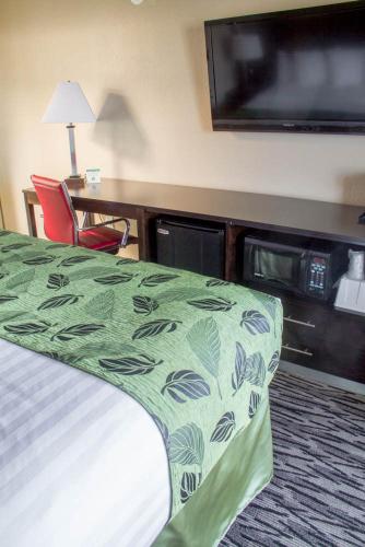 Motel Capri - image 6