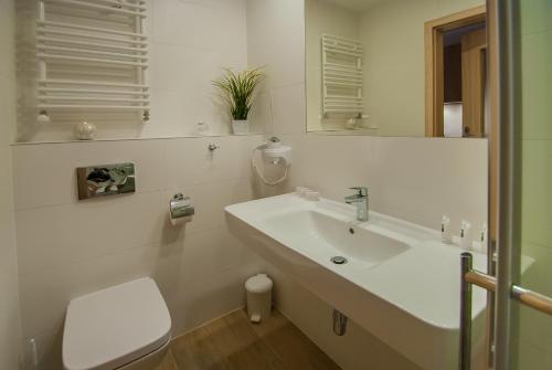 Studio Apartment with Parking image 9
