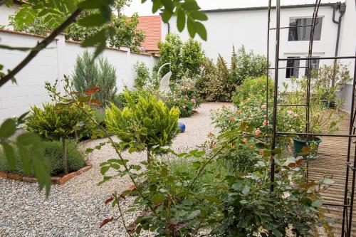 Weingut Gsellmann - Wohnen bei Ilse