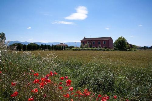 Torre Quadrana - Hotel - Spello