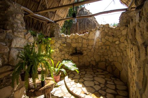 Alice Guesthouse in El Remate