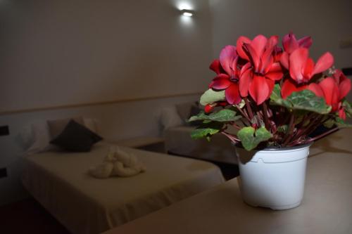 B&B Sikelia chambre d'hôte San Teodoro