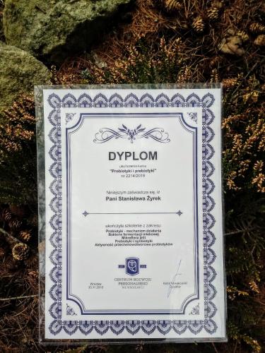 Pod Modrzewiami Pod Modrzewiami