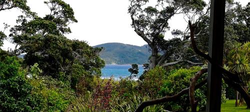 Mulberry Grove Retreat Great Barrier Island